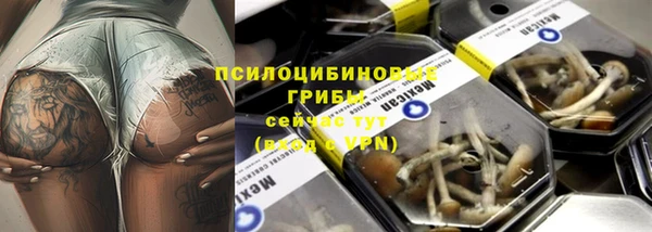 твердый Абаза
